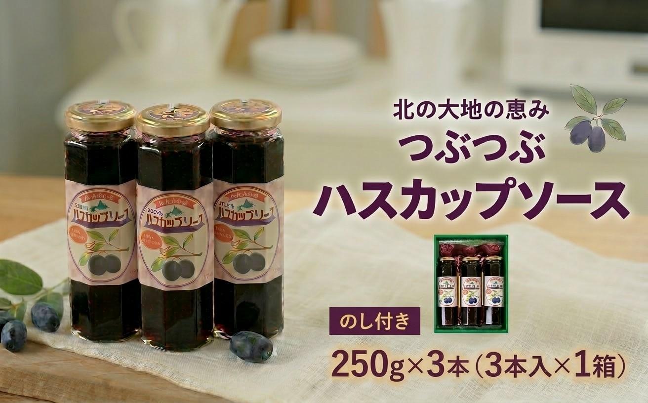 【のし付き】つぶつぶハスカップソース 250g×3本 ギフトセット ＜北の大地の恵み＞ 北海道産