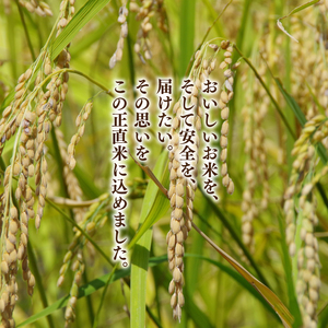 【定期便特別価格】【3ヶ月定期便】★五つ星マイスター★【令和7年産】正直米（特秀）5kg　特別栽培米 【 米 お米 精米 こしひかり コシヒカリ コンテスト 受賞  特別米  5kg 定期便 3ヶ月】