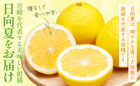 【先行予約】【期間・数量限定】宮崎特産 日向夏 果物 柑橘 フルーツ