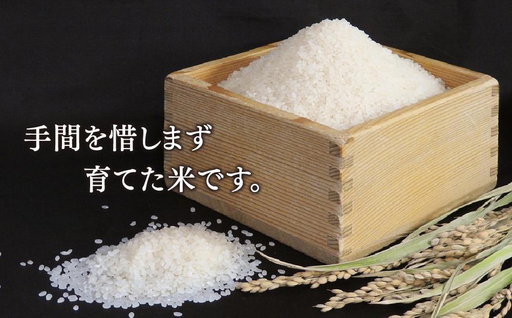 【2024年10月下旬より順次発送】ゆめぴりか・おぼろづき・ななつぼし　白米各2kg　3袋　大雪山系の豊かな水で育った谷口農場特別栽培米_00926