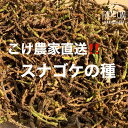 【ふるさと納税】123-6 こけ 専門農家直送!! スナゴケ 種 10L / 管理方法の説明書付き 植物 苔 ゴケ インテリア 静岡県 苔g(こけじぃ)