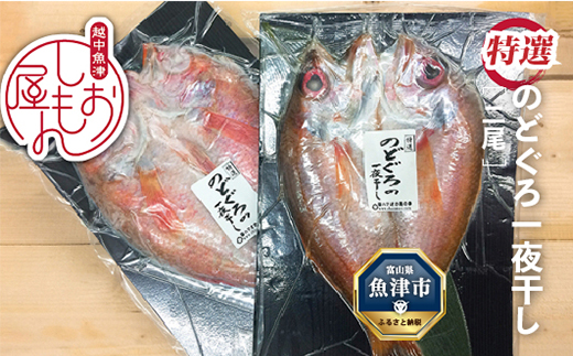 脂じゅわり【特選】のどぐろ一夜干し2尾　富山産（1尾200g以上）ハマオカ海の幸 ※北海道,沖縄,離島配送不可