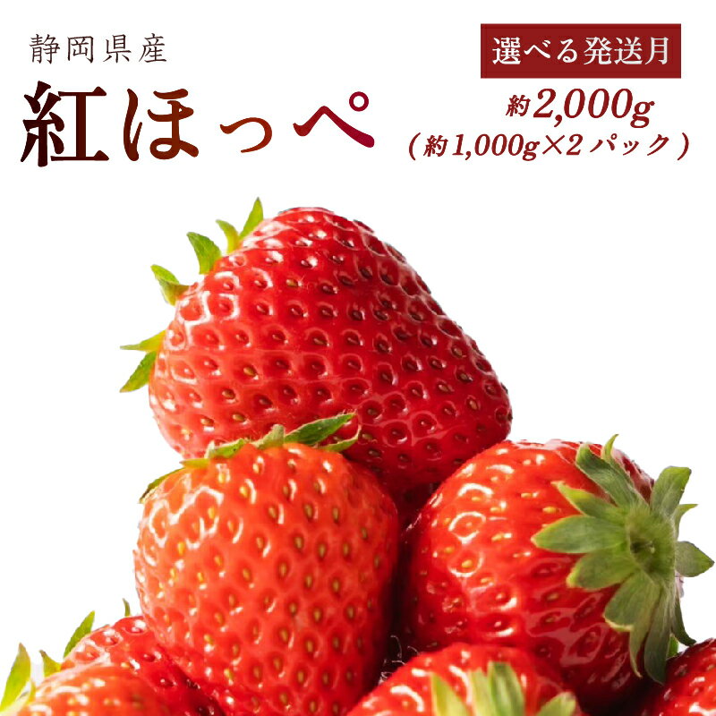 【ふるさと納税】 【発送月が選べる】 紅ほっぺ 2000g以上 いちご 1000g×2パック イチゴ 冷蔵発送 苺 2kg 土耕栽培 フルーツ 果物 スイーツ デザート朝摘み ストロベリー 完熟 農家直送 ベリー 産地直送 森木農園 静岡県 牧之原市 ~土耕栽培だから濃くて甘い!~
