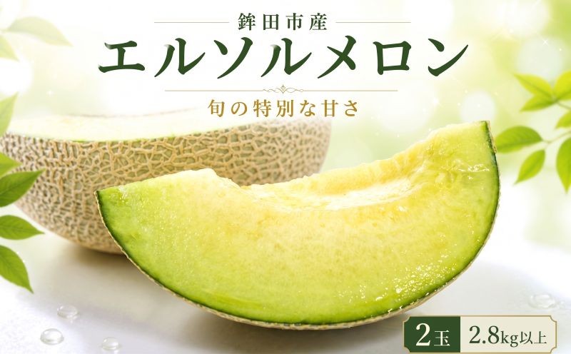 
                  【先行予約】 エルソルメロン 2玉 2.8kg以上 青肉 メロン めろん 産地直送 追熟 国産 フルーツ 果物 贈答用 ギフト おすすめ 人気 茨城県 鉾田市 内山農園
                