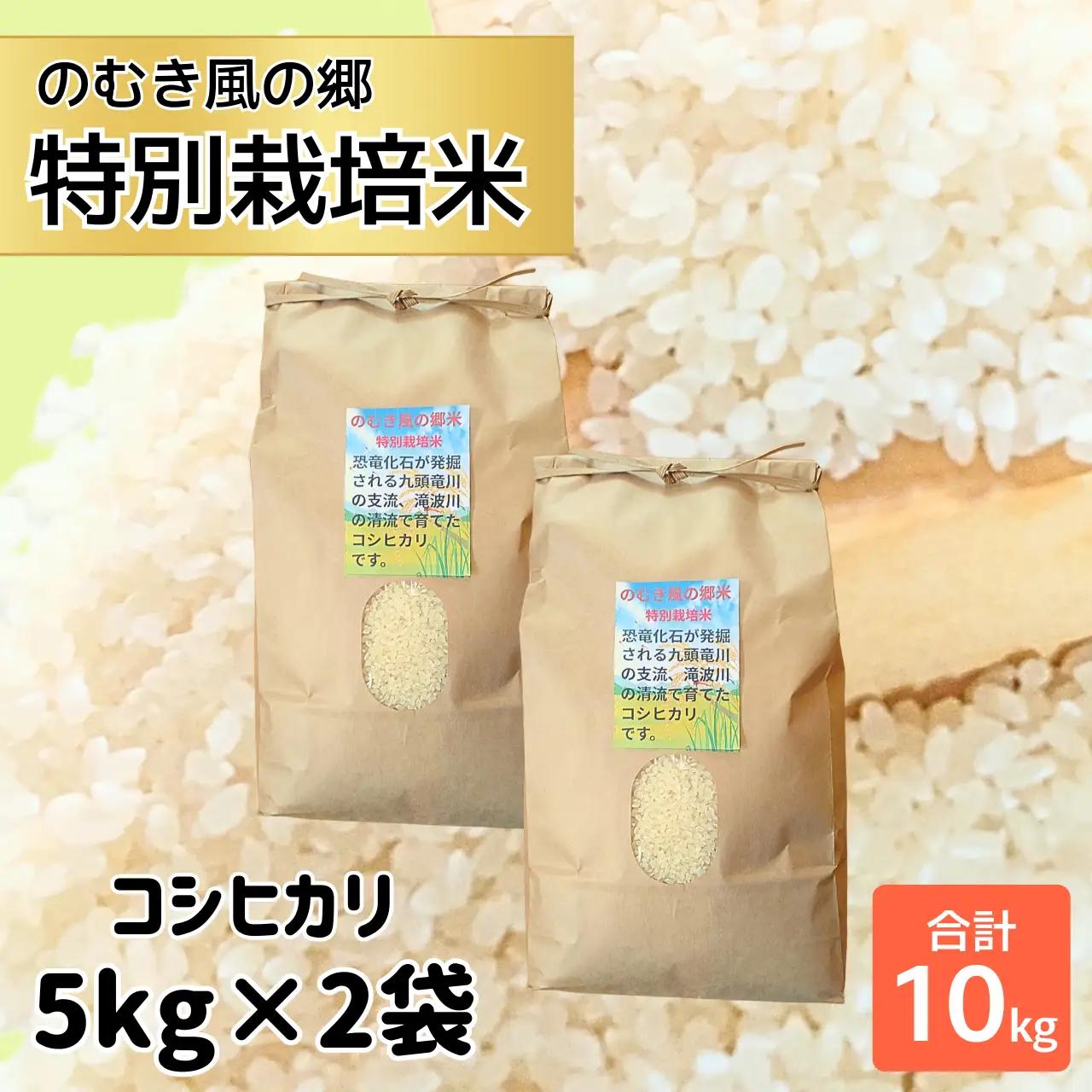 コシヒカリ 特別栽培米 のむき風の郷 精米 10kg コシヒカリ 