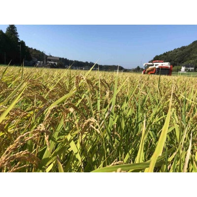 【令和5年産】たこまいらいふ萩原農場の多古米コシヒカリ(精米)3kg【配送不可地域：離島・沖縄県】【1438054】