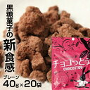 【ふるさと納税】黒糖菓子の新食感「チョコっとぅ。」40g×20袋