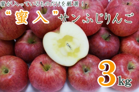 【2025年発送】蜜入りだけ厳選！蜜入サンふじりんご3kg_H126(R7)