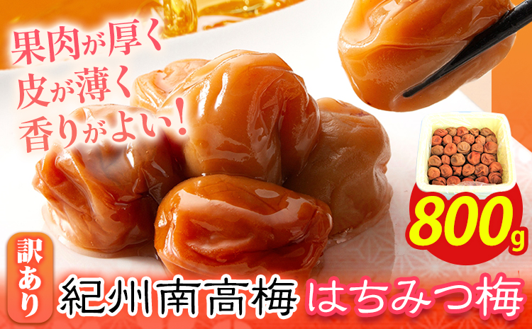 南高梅 はちみつ梅 わけあり 約800g 有限会社プラム《30日以内に出荷予定(土日祝除く)》---wsh_plm17_30d_25_10000_800g---
