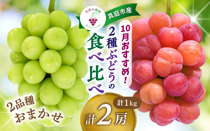 ぶどう【2026年発送】＜除草剤不使用＞ぶどう 食べ比べ 2種セット 1kg 2房 ぶどう 詰合せ シャインマスカット ピオーネ クイーンニーナ オーロラブラック 瀬戸ジャイアンツ 翠峰 BKシードレ