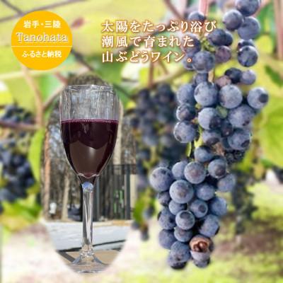 ふるさと納税 田野畑村 山ぶどうワイン　甘口　750ML　1本 |  | 01