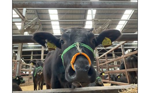 【高島屋選定品】＜お肉の専門店スギモト＞松阪牛ローストビーフ（モモ肉）TSY-210　　モモ肉ローストビーフ２００ｇ・２個 TSY-03-10_イメージ4