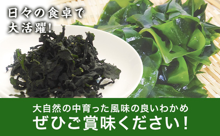 乾燥わかめ カット わかめ30g×5パック《90日以内に出荷予定(土日祝除く)》黒瀬海産