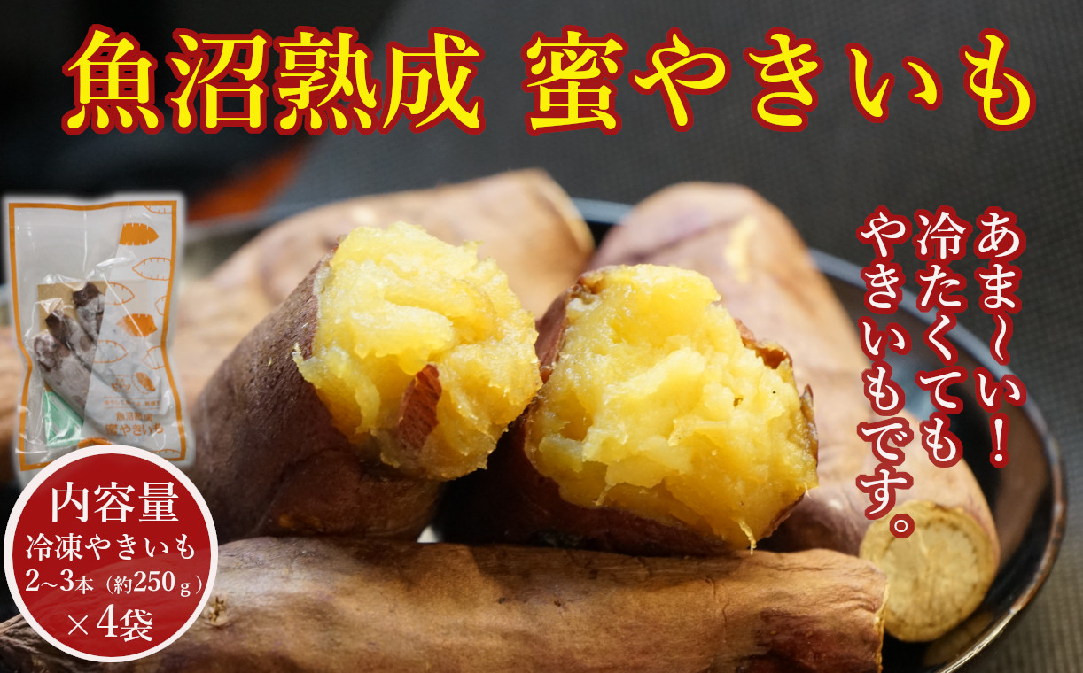 
            【魚沼熟成】紅はるかの蜜やきいも 4袋セット ※冷凍便 やきいも 焼き芋 熟成 ベニハルカ 個別梱包 小千谷市産 農園ビギン 【0002-0219-01】
          
