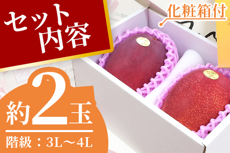 ＜先行予約【期間数量限定】2024年5月発送 宮崎県産完熟マンゴー3L～4L 2玉化粧箱入＞(2玉入り)【 B-0602-yk】【みまたんよかもん協同組合】