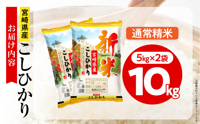【2～7営業日以内に発送予定】《令和8年産》宮崎県産こしひかり 合計10kg(5kg×2袋) 宮崎県産 国産 国産米 こしひかり 10kg 白米 米 お米 ご飯 超早場米