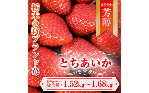 【先行予約】とちあいか 約380g～420g×4パック | いちご 栃木 とちあいか 甘い 糖度 旬 新鮮 フルーツ 果物 アレンジ スイーツ いちごジャム フルーツサンド　※離島への配送不可　※2025年1月中旬～3月下旬頃に順次発送予定