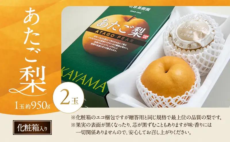 あたご梨 化粧箱入り 岡山県産 あたご梨【2玉 1玉約950g】【先行予約】