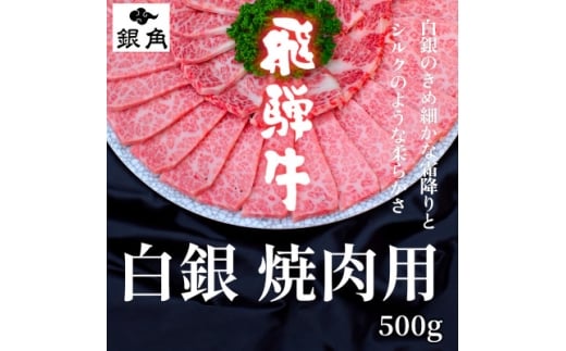 ＜飛騨牛＞白銀焼肉用500g【1686848】