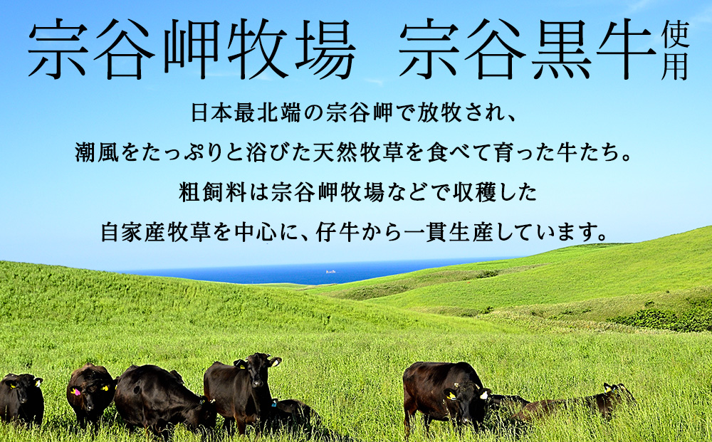 【稚内ブランド認定品】宗谷岬牧場のハンバーグ　120g4枚入×3箱（合計12枚）