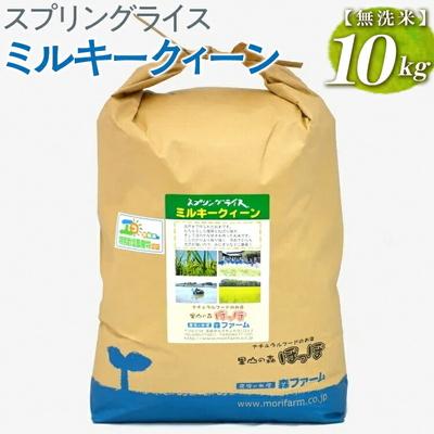 ふるさと納税 古河市 スプリングライス ミルキークィーン (無洗米)10kg | 米 こめ コメ 10キロ _BI37