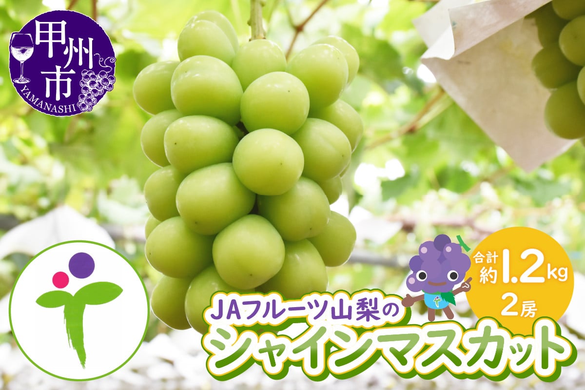 JAフルーツ山梨シャインマスカット2房
