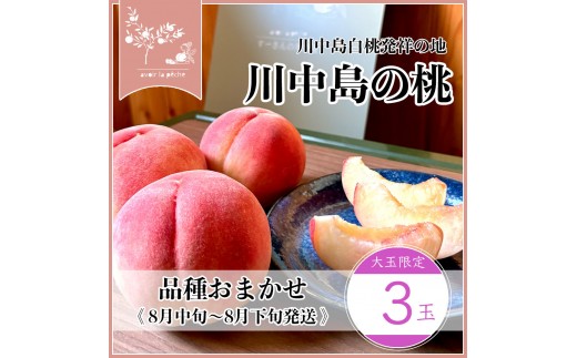 
                  すーさんの果樹屋　【先行予約】川中島の桃 大玉3玉 品種おまかせ 8月中旬～8月下旬発送予定 | 桃 もも フルーツ 果実  人気 おすすめ ギフト 産地直送 送料無料 長野県 長野市 信州 信濃 ふるさと納税
                