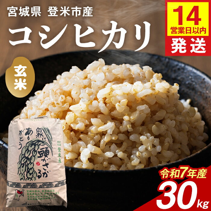 【ふるさと納税】【14営業日以内に発送予定】≪令和7年産≫ コシヒカリ 玄米 30kg 登米市産 お米 おこめ 米 コメ こしひかり ご飯 ごはん おにぎり お弁当 【登米ライスサービス株式会社】tm726