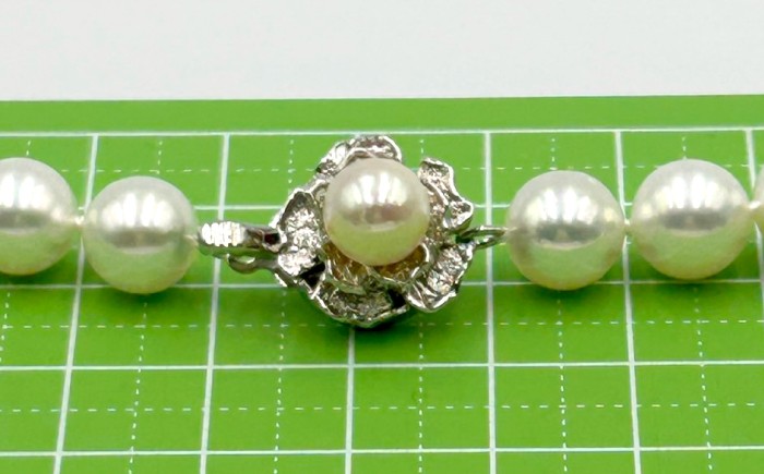 真珠 アコヤ 淡水 本真珠