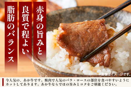 【 定期便 6回 】 熊本あか牛 焼肉用カット ( バラ ・ ロース ) 500g × 6回 【 合計 3kg 】 国産 牛肉 冷凍 熊本 熊本県産 あか牛 赤牛 切り落とし 041-0153