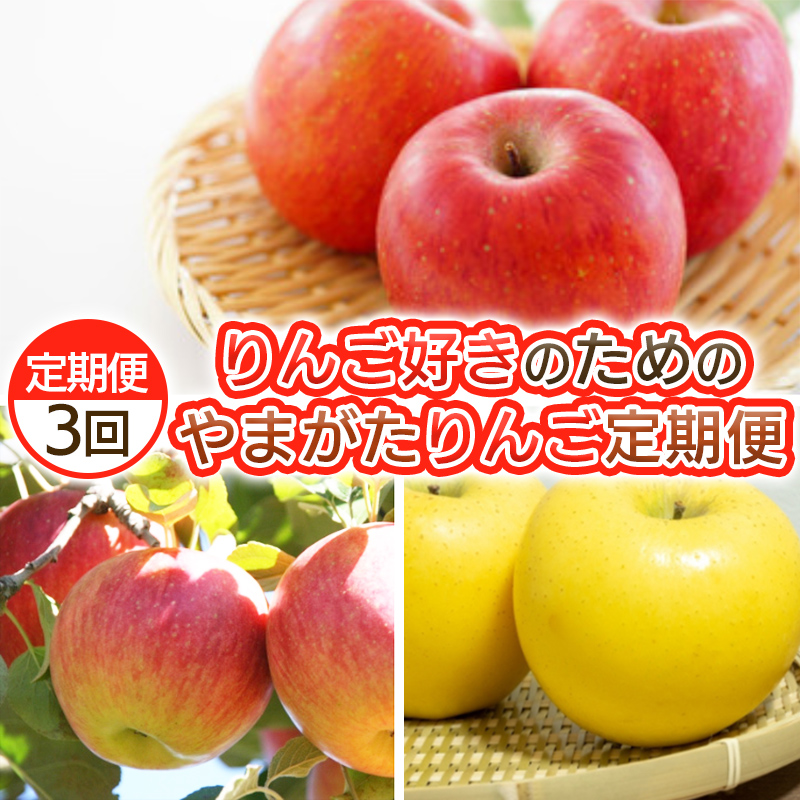 【定期便3回】りんご好きのためのやまがたりんご定期便 FY25-035