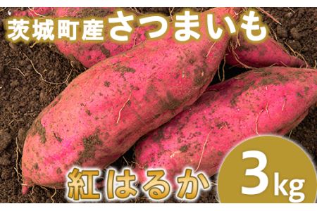 234-1茨城町産紅はるか3kg（さつまいも）【2025年11月中旬頃より発送予定】