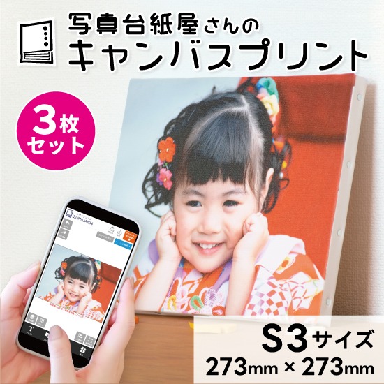 キャンバスプリント S3サイズ 3枚セット フォト 写真 パネル オーダー 印刷 アート ファブリックパネル インテリア