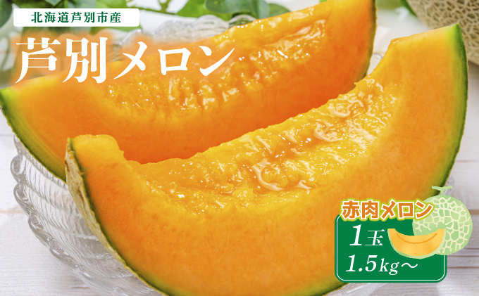 
                  【北海道 芦別メロン】赤肉メロン 1玉 1.5kg 北海道 芦別市 果物 メロン 甘い ジューシー フルーツ ギフト お中元  [№5342-0272]
                