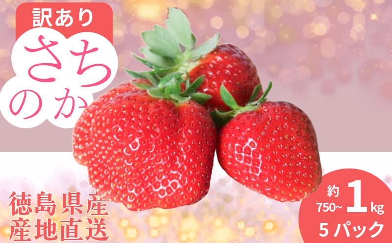 【訳あり】 いちご さちのか 5パック 1パック150g~200g 計約750g~1kg 苺 イチゴ ストロベリー フルーツ 果物 洋菓子 和菓子 スイーツ お菓子 おやつ アイス ケーキ パフェ タルト ゼリー 限定出荷 イチゴ ブランド 大粒 フレッシュ  ベリー 甘い おいしい 朝摘み  送料無料 徳島 小松島 【2026年1月より順次発送】