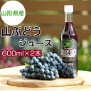 【ふるさと納税】美味しい 上山 ・ 山ぶどう ジュース （原液） 600ml × 2本 お取り寄せ 送料無料 山形県 上山市 0140-2406