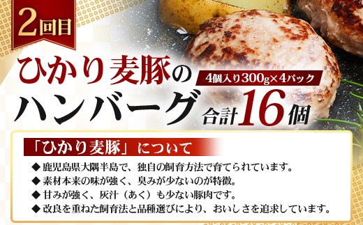 ≪定期便3回≫南大隅町 大人気店の自慢の味 コラボ定期便 NI-9｜鹿児島県 南大隅町 なんたん市場 