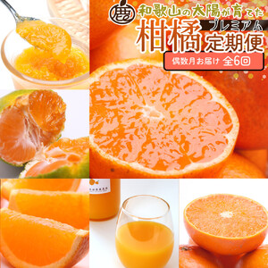 厳選 柑橘定期便S（偶数月）全6回［IKE286］