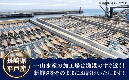 豪華干物6種詰合せ＆天然塩わかめセット【一山水産】[KAB067]/ 長崎 平戸 魚介類 魚 干物 一夜干し あじ かます レンコダイ 鯛 たい さば いか イカ わかめ 平戸産干物 長?ｱ産干物 新