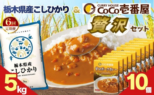 【定期便6回】ココイチ 甘口ポークカレー10個 &コシヒカリ5kgの贅沢セット