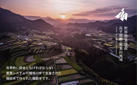 藤の花色に染まる六穀米「藤六穀（ふじろっこく）」 高千穂棚田米 たかきび 挽き割とうもろこし もちあわ もち麦 黒米 紫色 雑穀米 高千穂 宮崎 世界農業遺産 特選雑穀米 ヒノヒカリ 椎葉 諸塚 日の