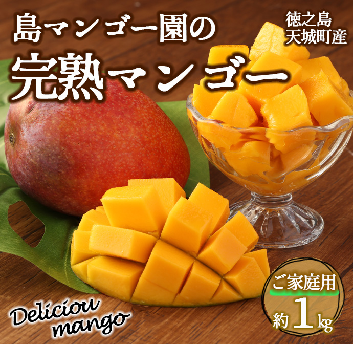 【2025年発送】【ご家庭用】徳之島 天城町産 島マンゴー園 完熟マンゴー 1kg マンゴー フルーツ BA-3-N