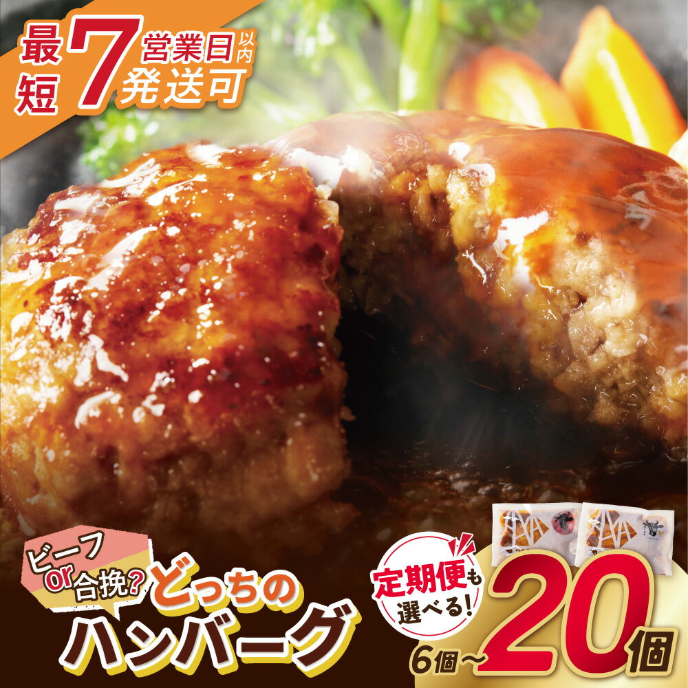 どっちのハンバーグ!?デミグラスソース20個セット