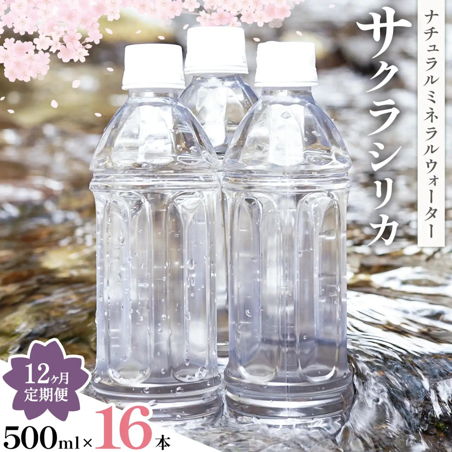 【12ヶ月定期便】サクラシリカ 500ml 16本 みずの里