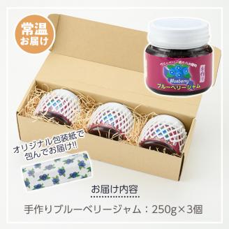 isa223 手作りブルーベリージャム(計3個・各250g)自家栽培のブルーベリーのみを使用！原料にこだわった甘さ控えめのジャム【伊佐ブルーベリーつみとり観光農園】