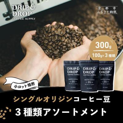ふるさと納税 京都市 【DRIP&amp;DROP】シングルオリジンコーヒーアソートメント コーヒー豆(豆のまま)