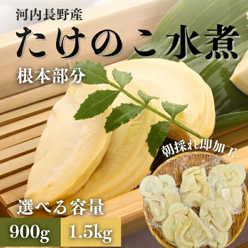 【ふるさと納税】【2026年5月以降順次発送】国産 たけのこ 水煮 根本部分 ＜ 内容量をお選びください ＞ 朝採れを即加工 タケノコ 竹の子 筍 小分け 長期保存 真空パック たけのこご飯 煮物