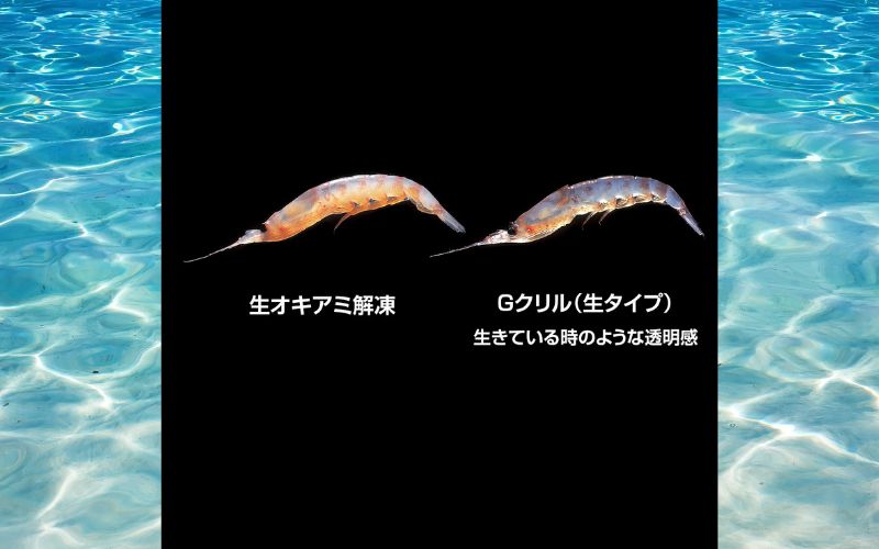 釣りエサ　GクリルWパック　LLサイズ　約100g（約50g×2パック）×6個　【hmi010】