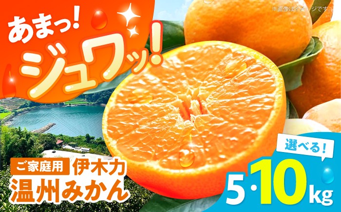 
                  ※【2027年1月より順次発送／先行予約】伊木力温州みかん 10kg（ご家庭用）/ みかん ミカン 蜜柑 みかんジュース フルーツ 果物 / 諫早市 / 末永果樹園 [AHBD001]
                