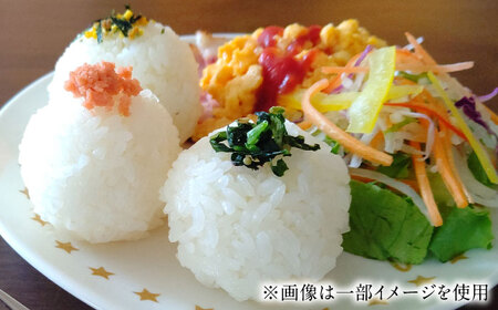 令和7年産 こしひかり 無洗米 5kg / お米 ふるさと納税 A評価  / 佐賀県 / 大塚米穀店 [41ANAD041]